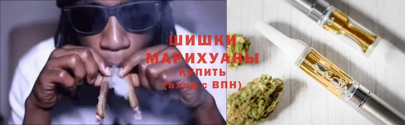 Бошки марихуана White Widow  где продают наркотики  Камень-на-Оби 